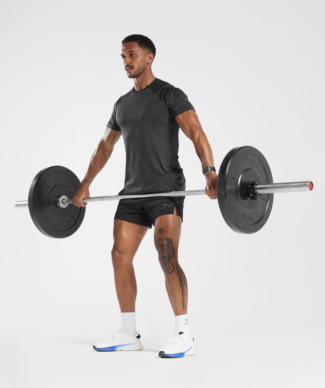 Gymshark Apex T-Shirt T-Shirts Grijs | 52EWRGMCD