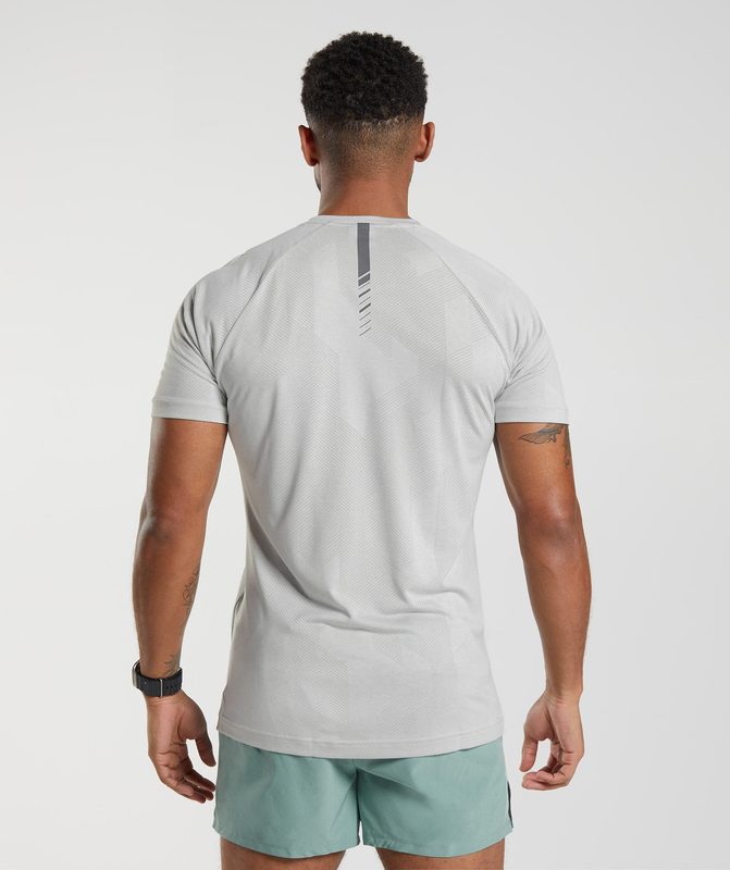 Gymshark Apex T-Shirt T-Shirts Lichtgrijs | 34AOTRIXM