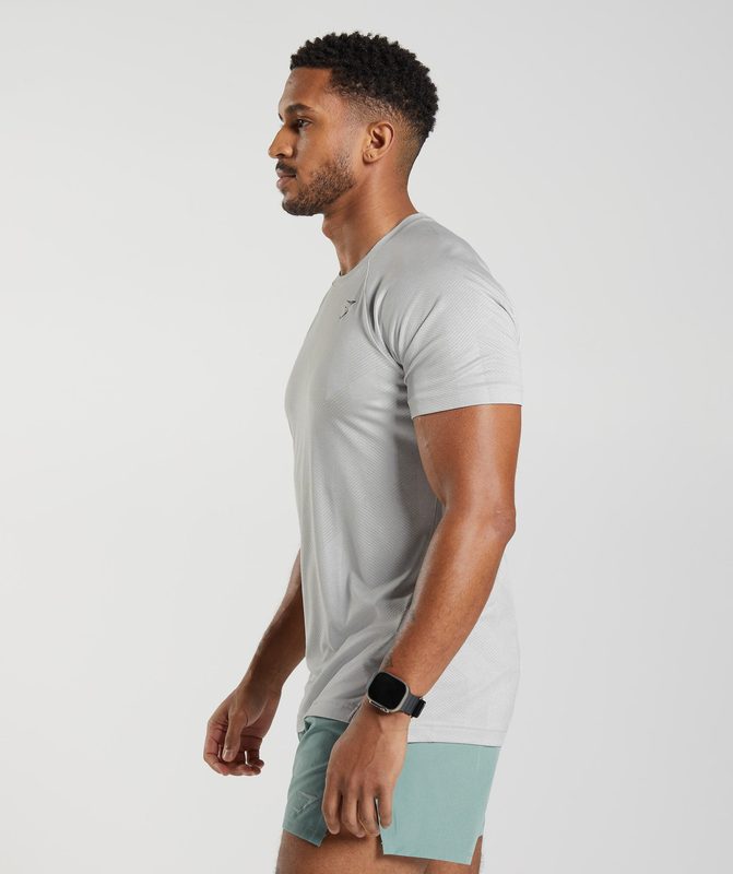 Gymshark Apex T-Shirt T-Shirts Lichtgrijs | 34AOTRIXM