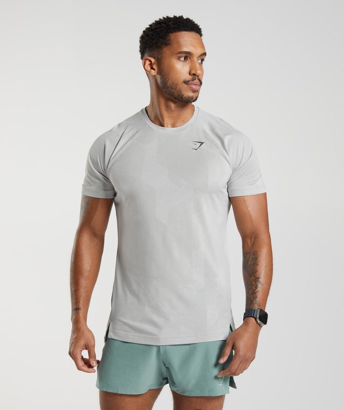 Gymshark Apex T-Shirt T-Shirts Lichtgrijs | 34AOTRIXM