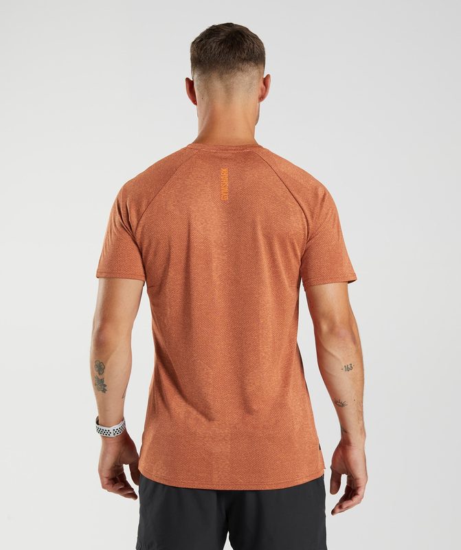 Gymshark Apex T-Shirt T-Shirts Oranje | 02DWSIBUV