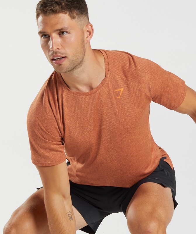 Gymshark Apex T-Shirt T-Shirts Oranje | 02DWSIBUV