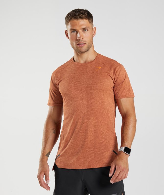 Gymshark Apex T-Shirt T-Shirts Oranje | 02DWSIBUV