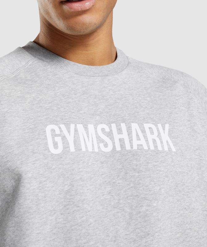 Gymshark Apollo Crew Pullovers Lichtgrijs | 15YOKBDVS