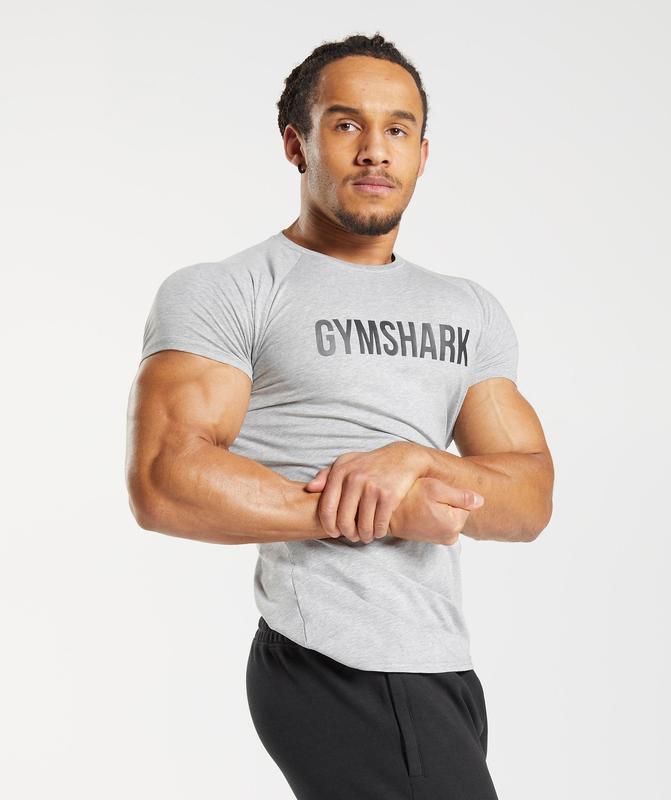 Gymshark Apollo T-Shirt T-Shirts Lichtgrijs | 26DJNSREV