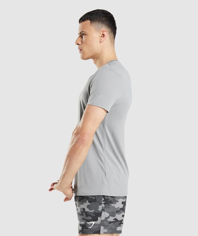 Gymshark Arrival Graphic T-Shirt T-Shirts Grijs | 63ZEHFAGD