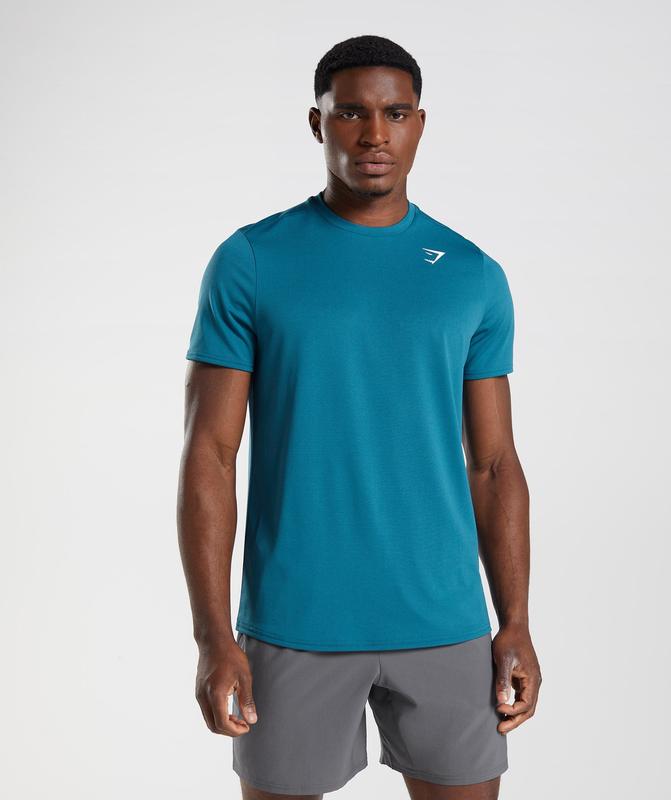 Gymshark Arrival T-Shirt T-Shirts Blauw | 48XNUFTDL