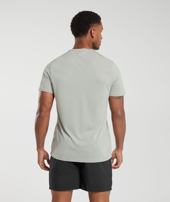 Gymshark Arrival T-Shirt T-Shirts Grijs | 63LVEIWHA