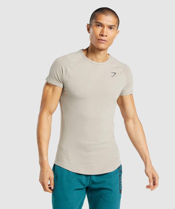 Gymshark Bold T-Shirt T-Shirts Grijs | 04ABNEMIC