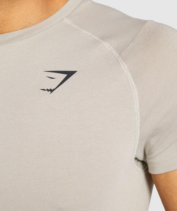 Gymshark Bold T-Shirt T-Shirts Grijs | 04ABNEMIC