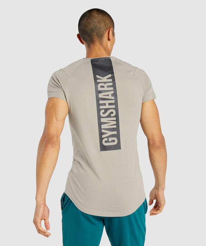 Gymshark Bold T-Shirt T-Shirts Grijs | 04ABNEMIC