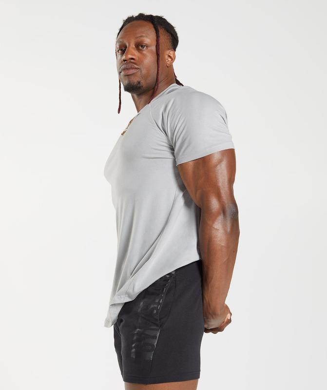 Gymshark Bold T-Shirt T-Shirts Lichtgrijs | 52XKYODRQ