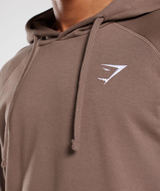 Gymshark Crest Hoodie Hoodies Bruin | 61TVORDWY