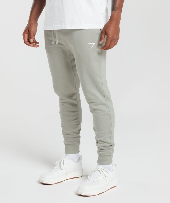 Gymshark Crest Joggers Broek Grijs | 29JFPMRIZ