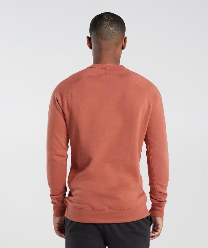 Gymshark Crest Sweatshirt Pullovers Rood | 42QKDXBAT