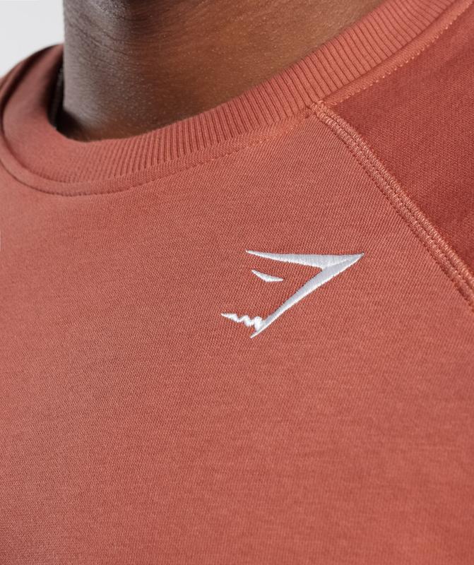 Gymshark Crest Sweatshirt Pullovers Rood | 42QKDXBAT