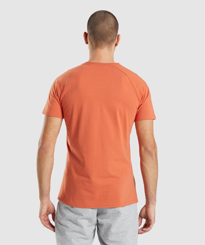 Gymshark Critical T-Shirt T-Shirts Oranje | 82BSMKURT