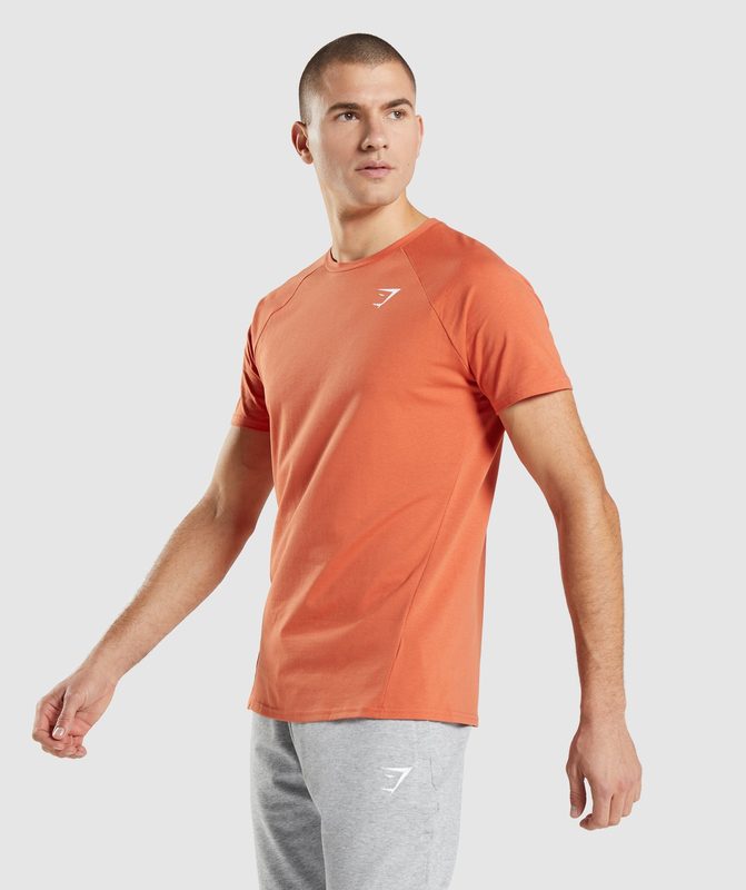 Gymshark Critical T-Shirt T-Shirts Oranje | 82BSMKURT