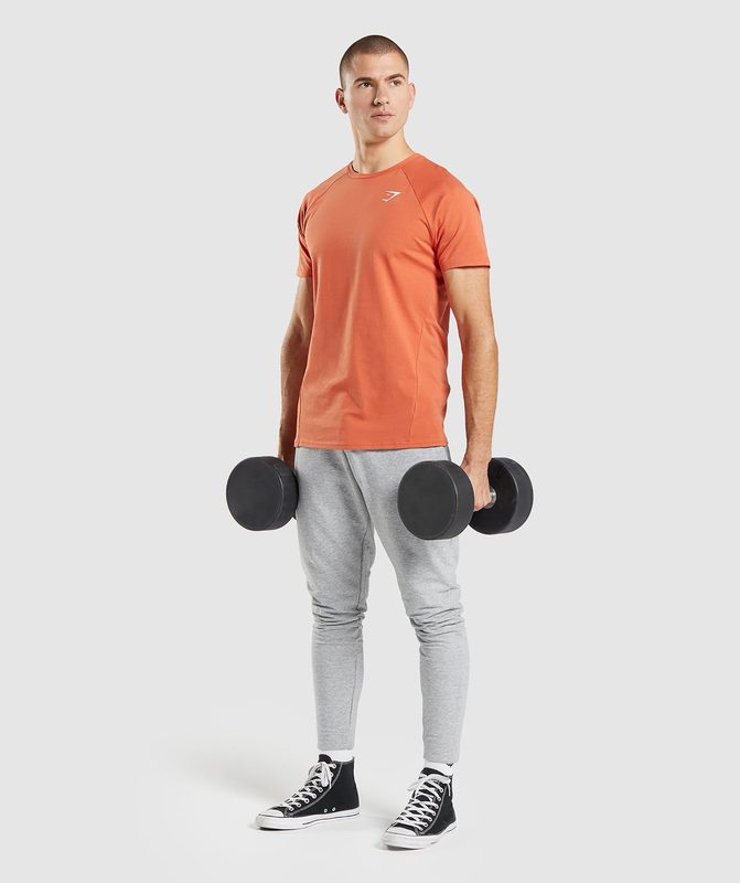 Gymshark Critical T-Shirt T-Shirts Oranje | 82BSMKURT