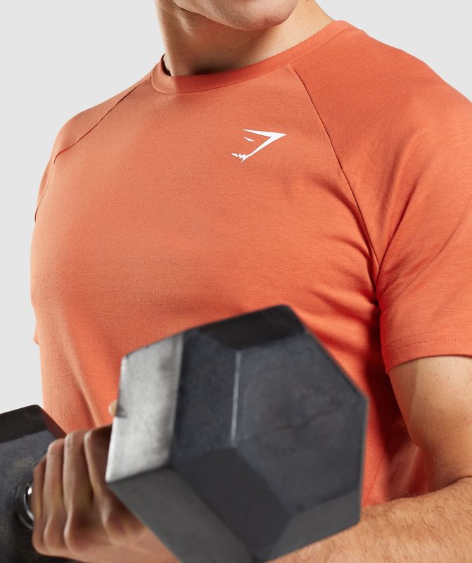 Gymshark Critical T-Shirt T-Shirts Oranje | 82BSMKURT