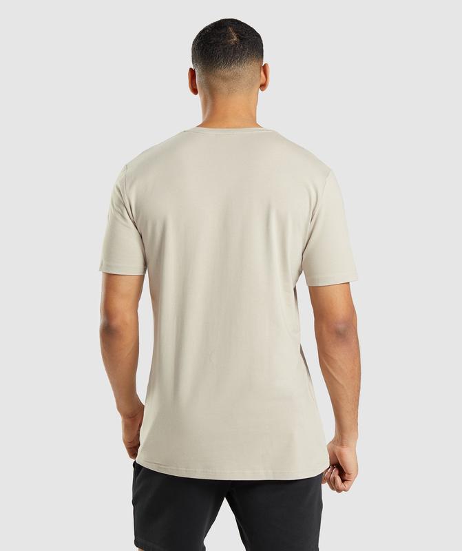 Gymshark Essential T-Shirt T-Shirts Grijs | 69LCUEBPX