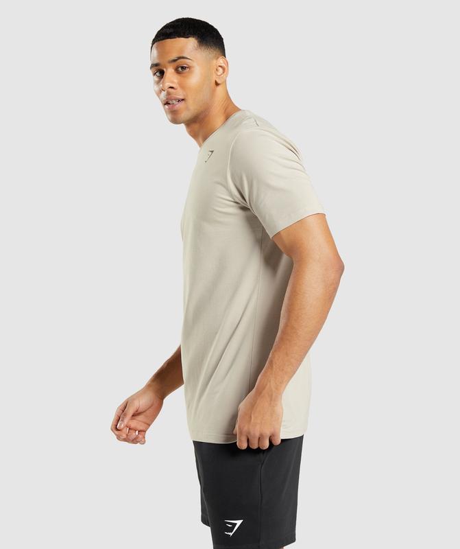 Gymshark Essential T-Shirt T-Shirts Grijs | 69LCUEBPX