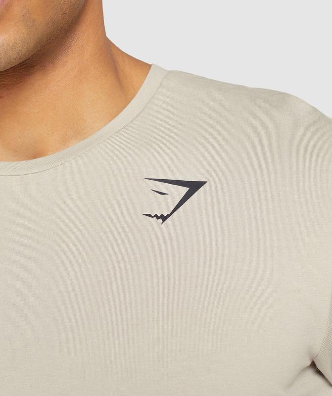 Gymshark Essential T-Shirt T-Shirts Grijs | 69LCUEBPX