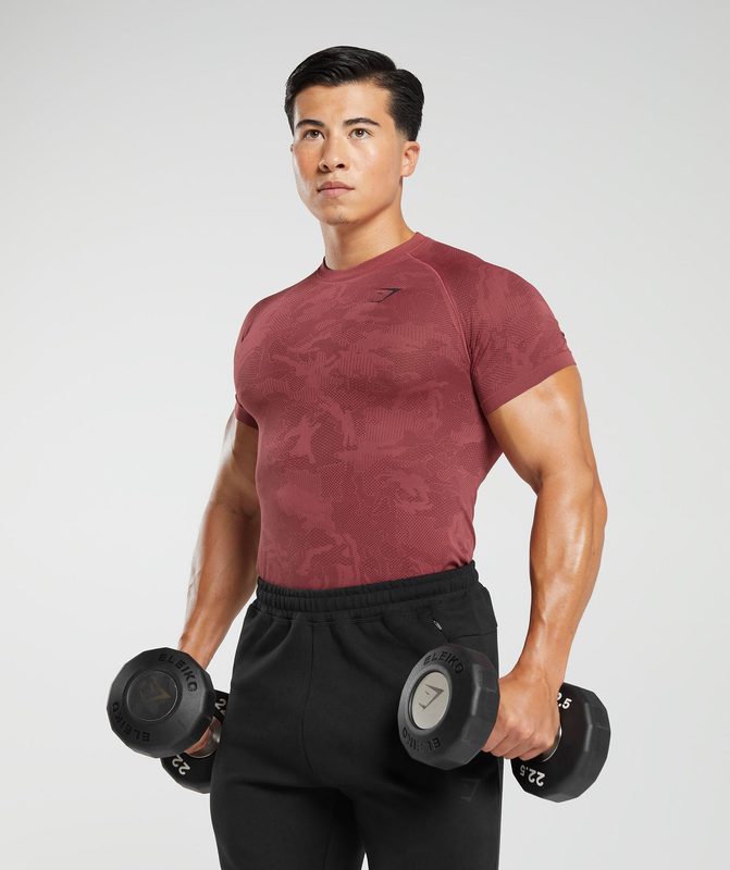 Gymshark Geo Seamless T-Shirt T-Shirts Bordeaux | 12LAXDCFT