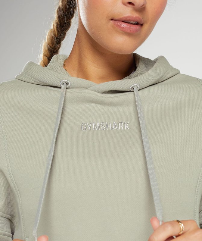 Gymshark Heavyweight Loopback Sweat Hoodie Hoodies Grijs | 10XPSBNHE