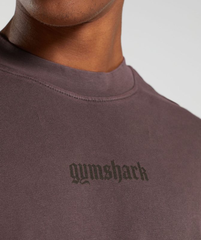 Gymshark Heavyweight T-Shirt T-Shirts Bruin | 01QXGCYKD