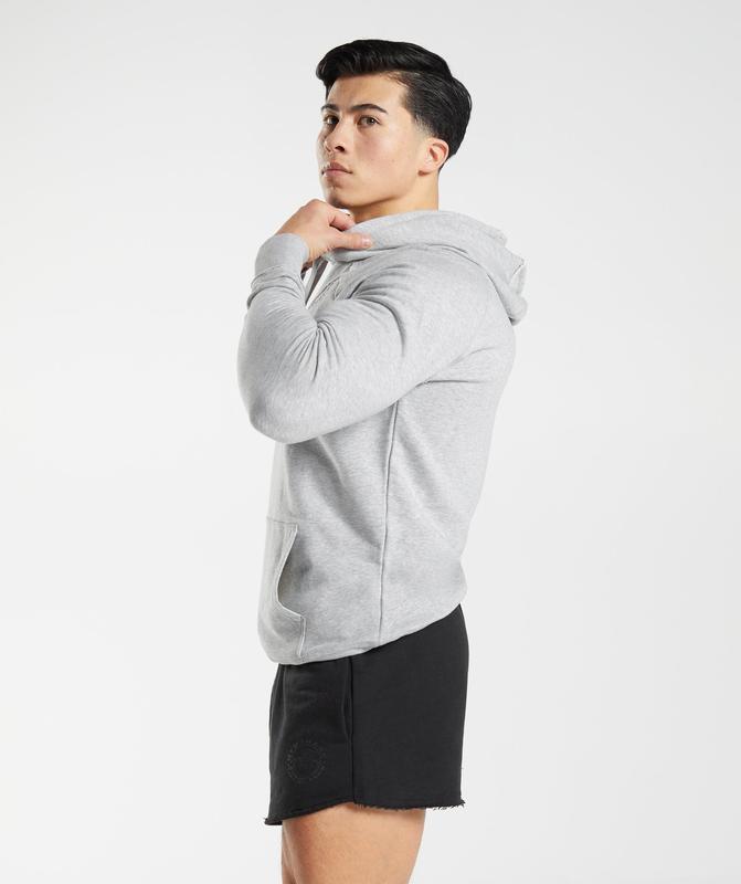 Gymshark Legacy Hoodie Hoodies Lichtgrijs | 82IMHDVYG