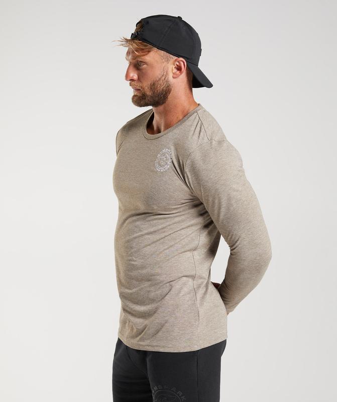 Gymshark Legacy Long Sleeve T-Shirt Long Sleeve Top Limestone Marl | 53IAVJPEM