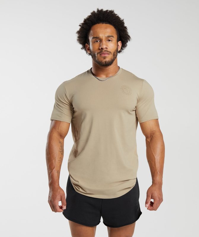 Gymshark Legacy T-Shirt T-Shirts Beige | 37QIATZBP