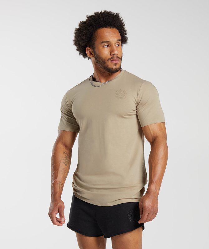 Gymshark Legacy T-Shirt T-Shirts Beige | 37QIATZBP