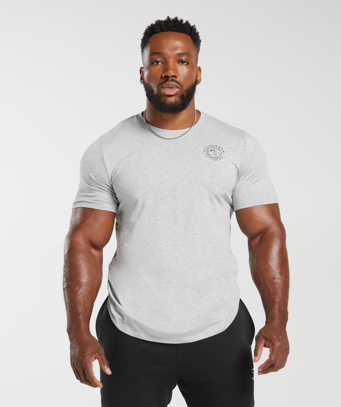 Gymshark Legacy T-Shirt T-Shirts Lichtgrijs | 46KCZTMGO