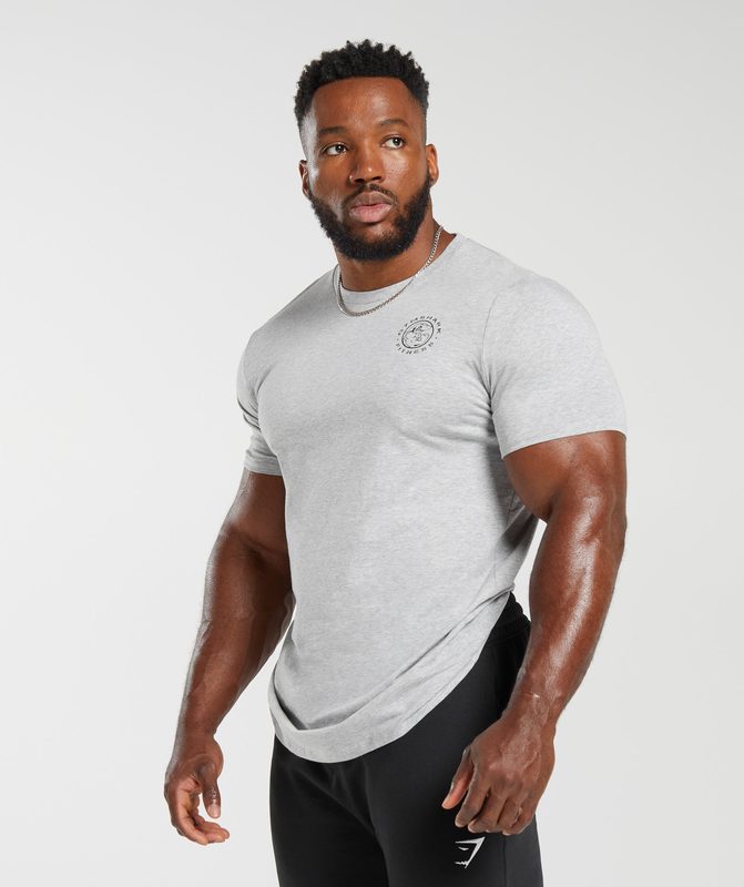 Gymshark Legacy T-Shirt T-Shirts Lichtgrijs | 46KCZTMGO