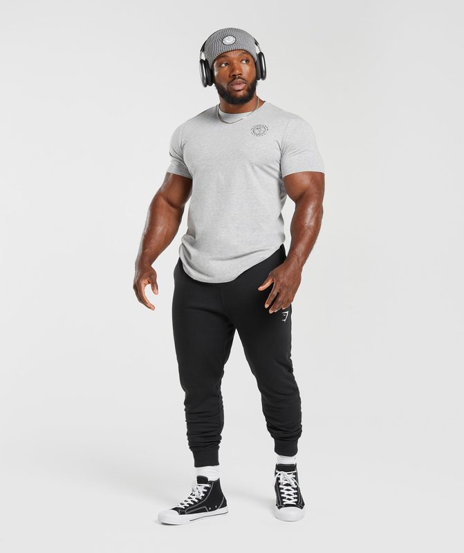 Gymshark Legacy T-Shirt T-Shirts Lichtgrijs | 46KCZTMGO