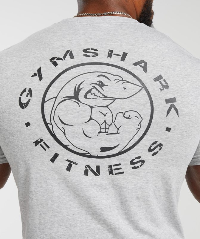 Gymshark Legacy T-Shirt T-Shirts Lichtgrijs | 46KCZTMGO