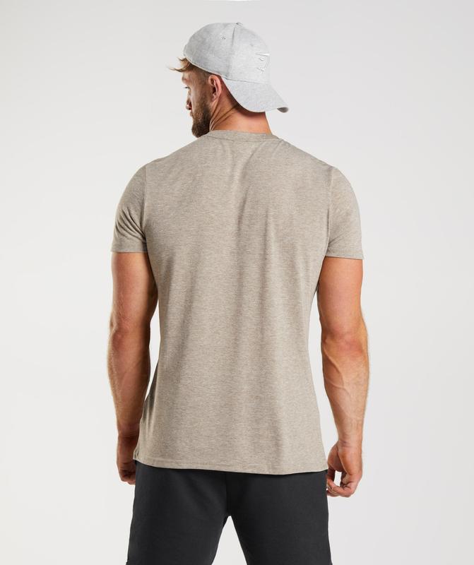 Gymshark Legacy T-Shirt T-Shirts Limestone Marl | 50IPBHQGA