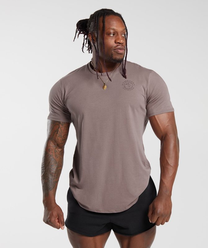 Gymshark Legacy T-Shirt T-Shirts Washed Mauve | 32ILORKGV