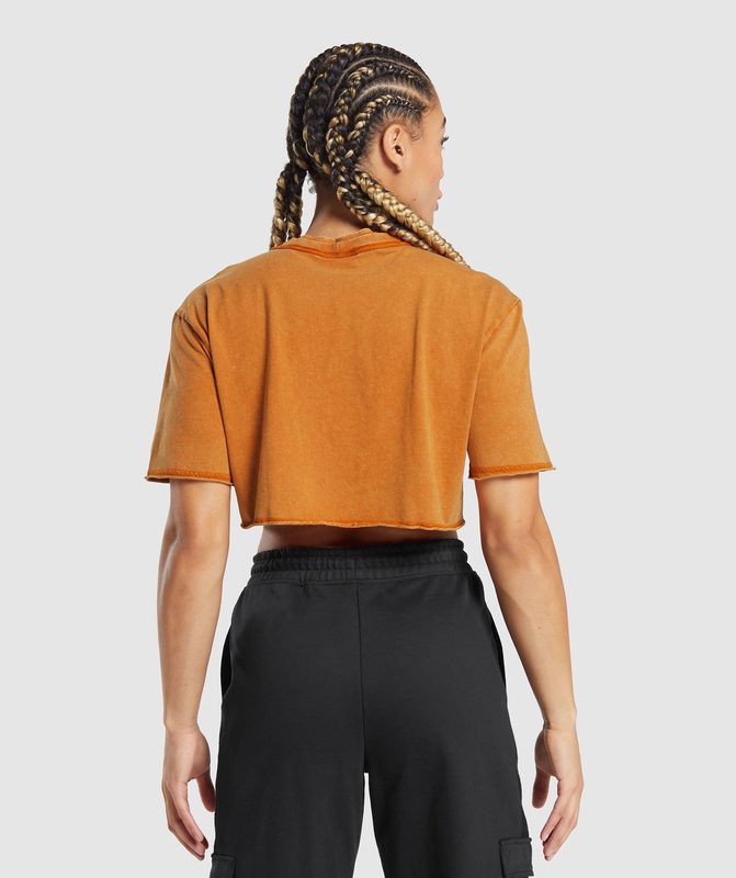 Gymshark Legacy Washed Crop Top Crop Tops Oranje | 64RMLTBPQ