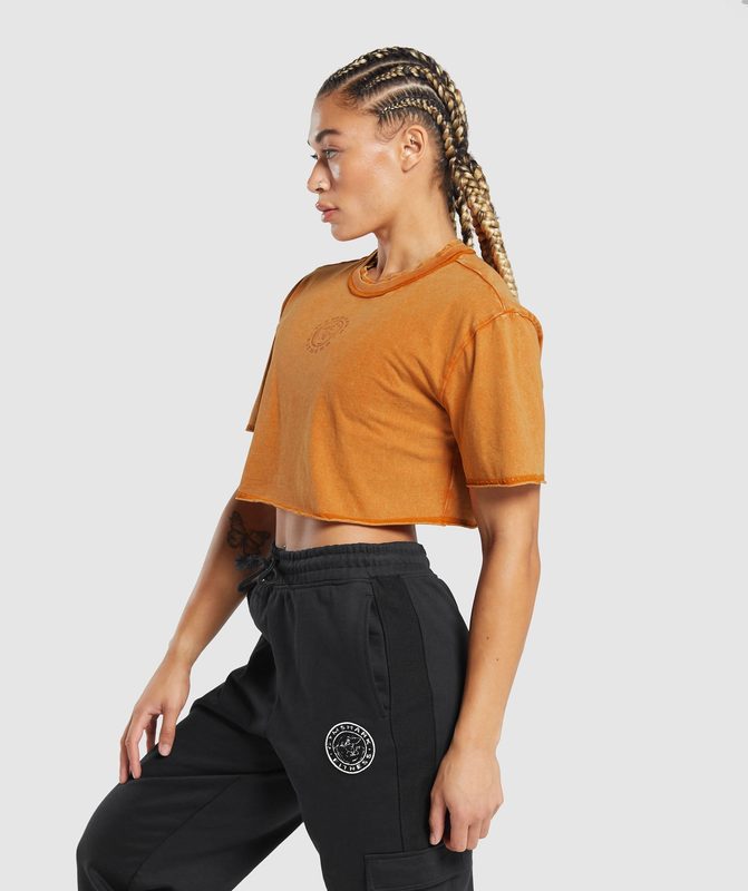 Gymshark Legacy Washed Crop Top Crop Tops Oranje | 64RMLTBPQ