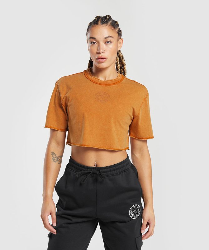 Gymshark Legacy Washed Crop Top Crop Tops Oranje | 64RMLTBPQ