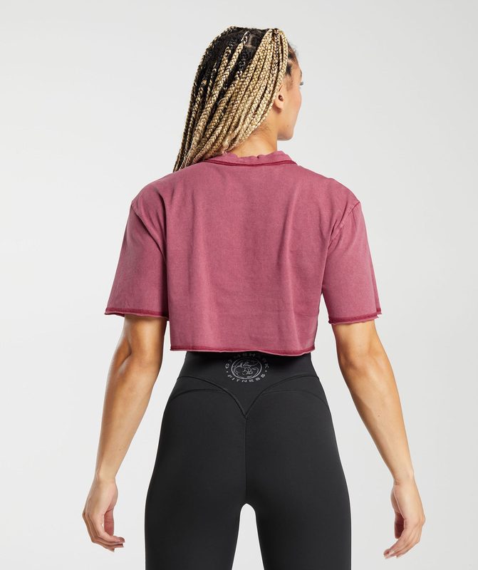 Gymshark Legacy Washed Crop Top Crop Tops Lichtturkoois | 68IUWXBJM