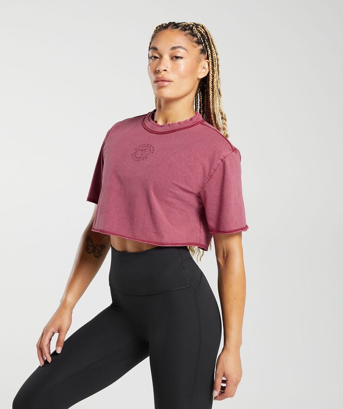 Gymshark Legacy Washed Crop Top Crop Tops Lichtturkoois | 68IUWXBJM