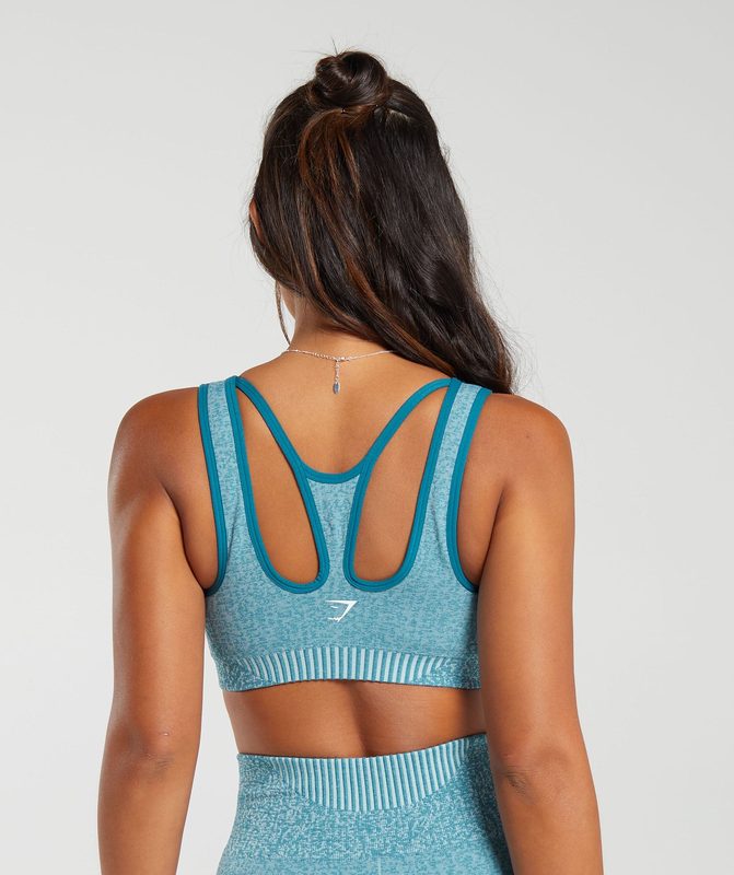 Gymshark Marl Seamless Scoop Bra Sports Bras Lichtblauw Grijs | 81ZNXQYJL