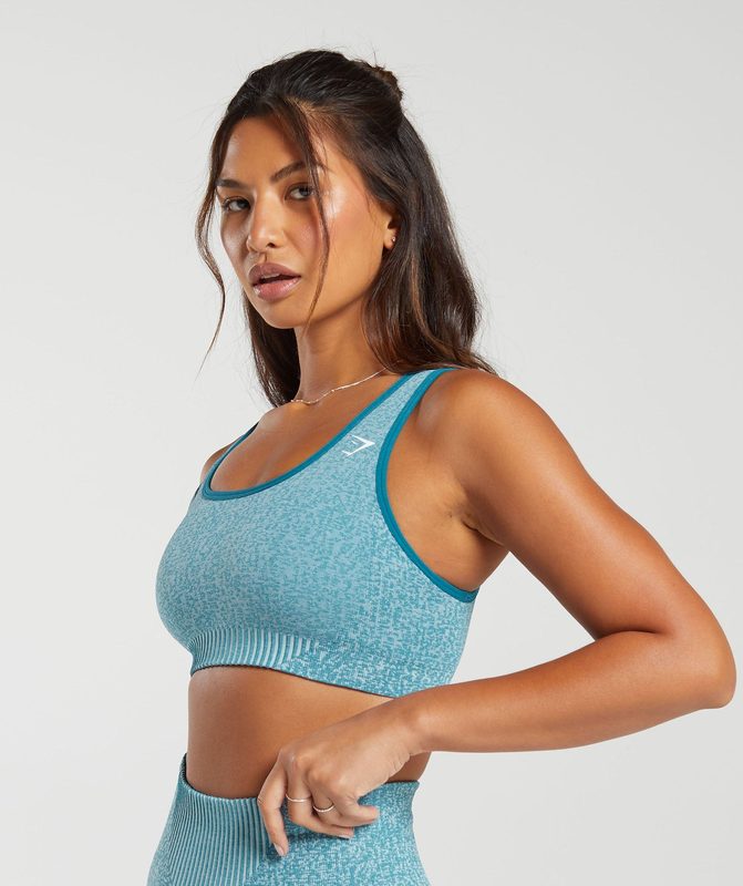 Gymshark Marl Seamless Scoop Bra Sports Bras Lichtblauw Grijs | 81ZNXQYJL