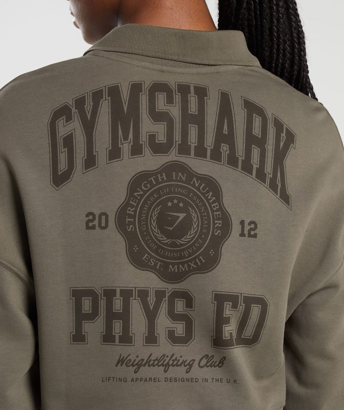 Gymshark Phys Ed Graphic 1/4 Zip Pullovers Camo Bruin | 19FIBGQSL