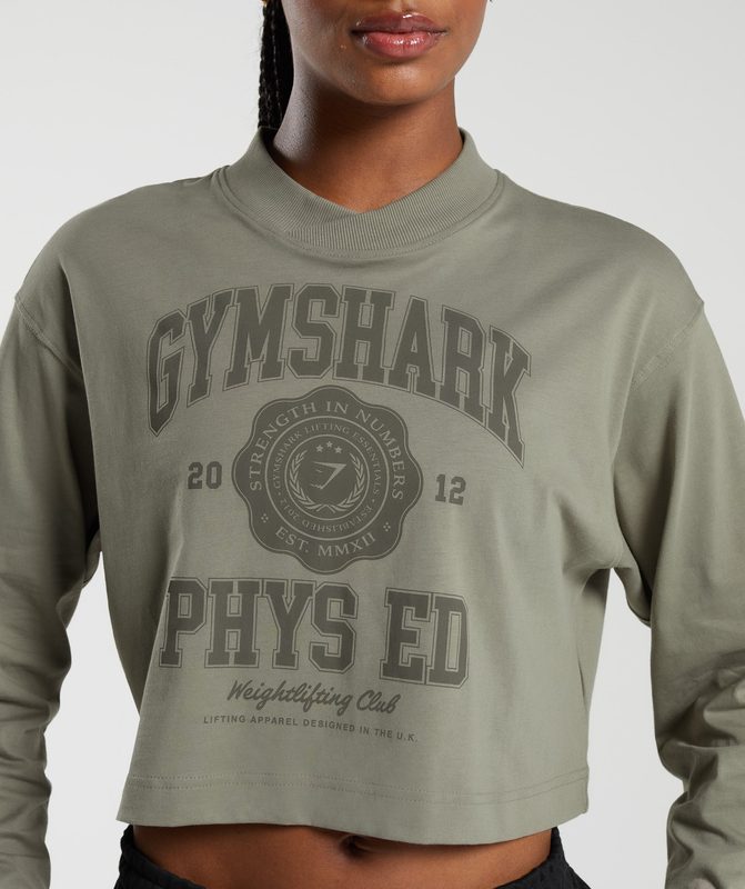 Gymshark Phys Ed Graphic Long Sleeve T-Shirt Long Sleeve Top Grijs | 38SUVEPHN