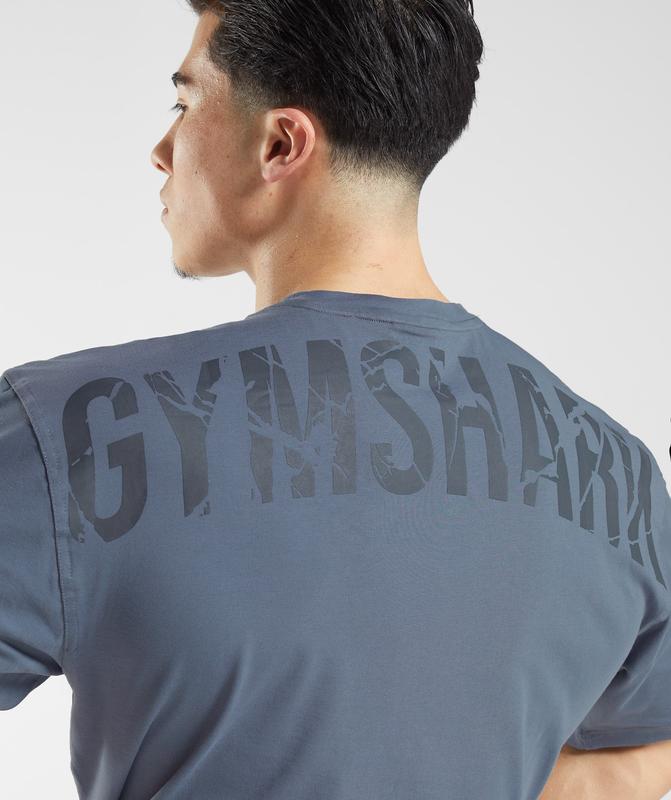 Gymshark Power T-Shirt T-Shirts Blauw | 06IMNERUW